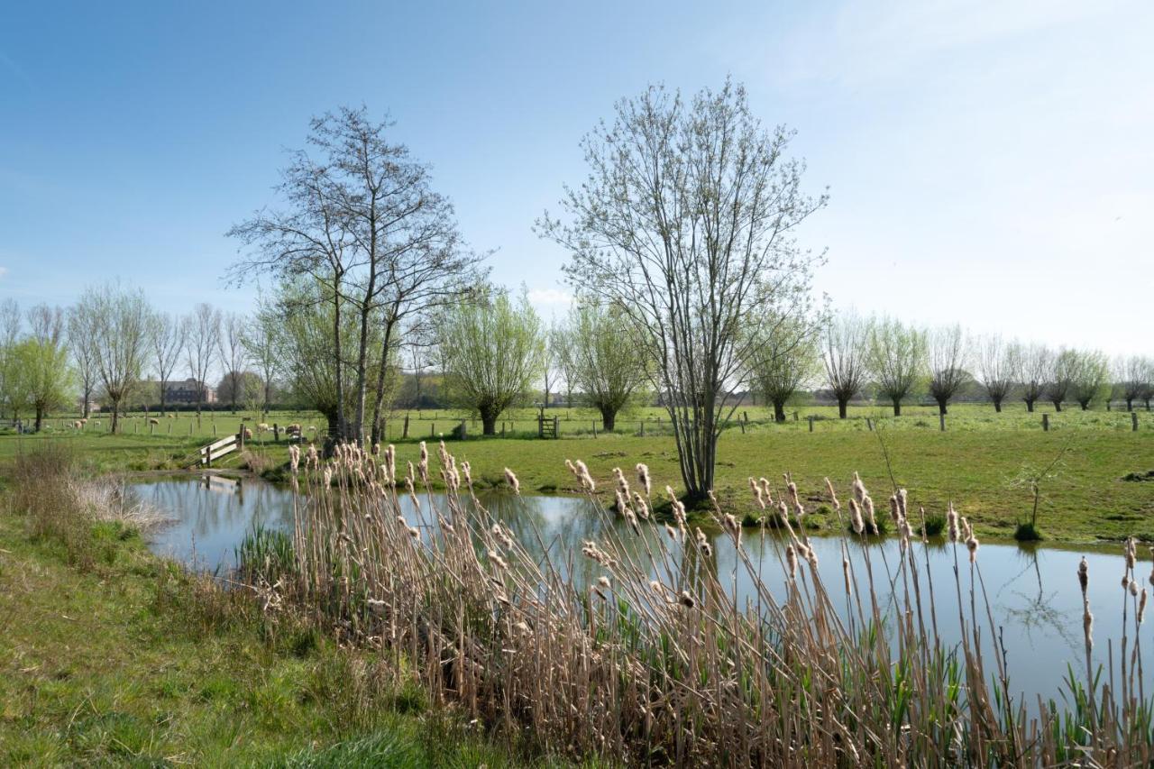 Hoeve De Mertel Biezenmortel Εξωτερικό φωτογραφία