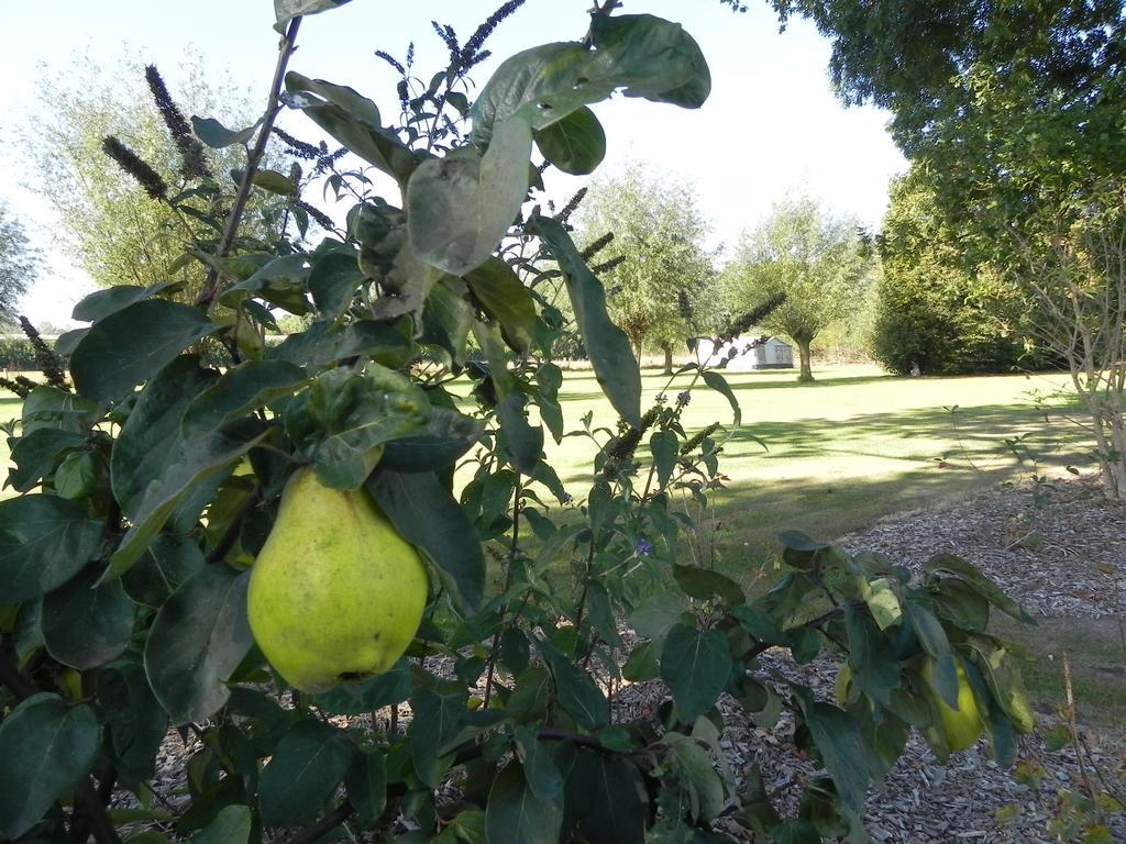 Hoeve De Mertel Biezenmortel Εξωτερικό φωτογραφία